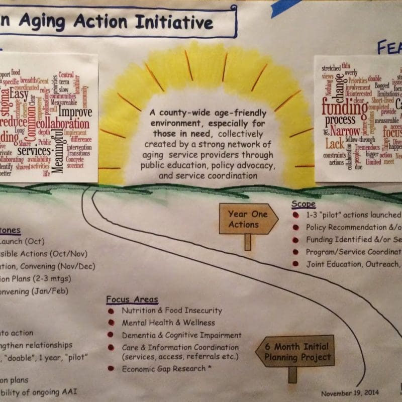 Aging Action Initiative AAI Roadmap  