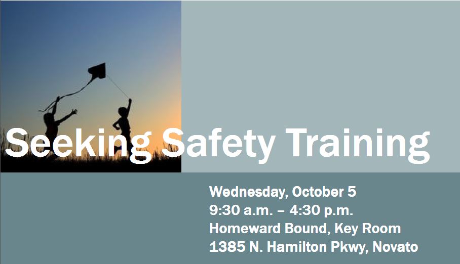 Aging Action Initiative "Seeking Safety" Training for Substance Abuse/Trauma Practitioners  